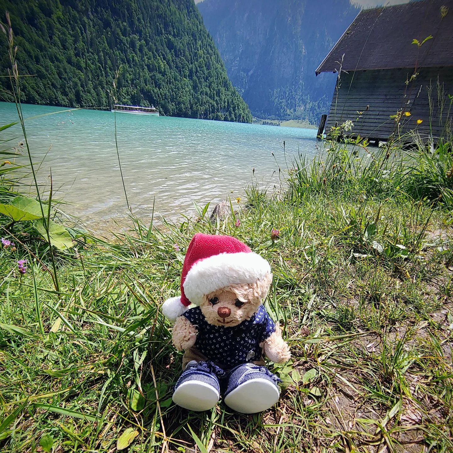“What you do makes a difference, and you have to decide what kind of difference you want to make.” by Jane Goodall
#berchtesgadenerland  #königssee #konigseelake #naturliebe #königseebayern #konigsee #animalsarefriendsnotfood #bekindtoeverykind #peaceforanimals #veganfortheanimals