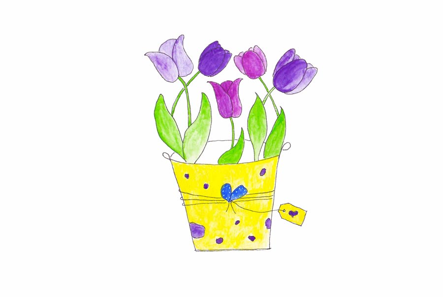 Tulips Illustration
