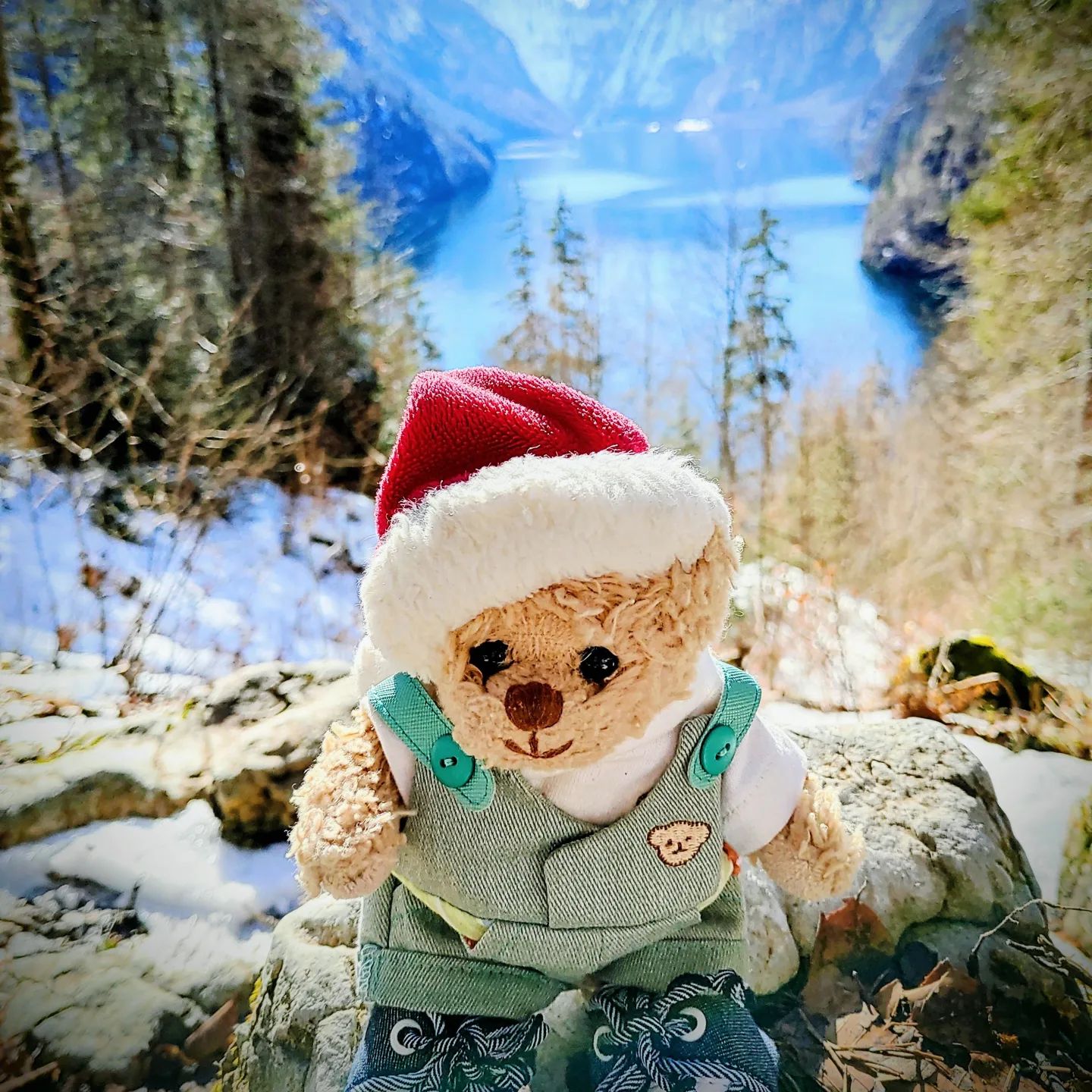 "We think too much and feel too little. More than machinery, we need humanity; more than cleverness, we need kindness and gentleness. Without these qualities, life will be violent and all will be lost." Charlie Chaplin
#berchtesgadenerland  #königssee #konigseelake #naturliebe #animalsarefriendsnotfood #bekindtoeverykind #peaceforanimals #peaceforpeople